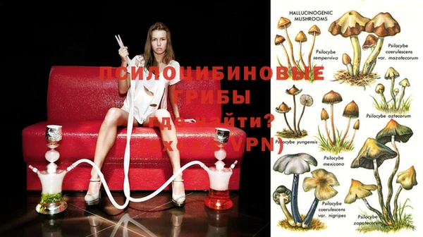 гашиш Пролетарск