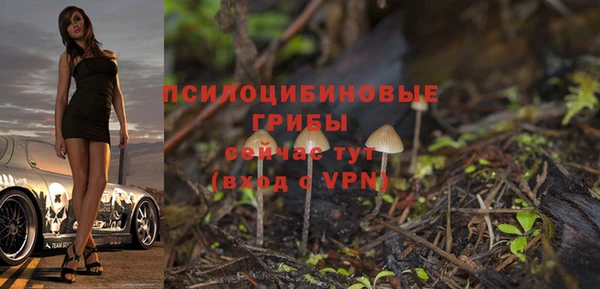 гидропоника Приозерск