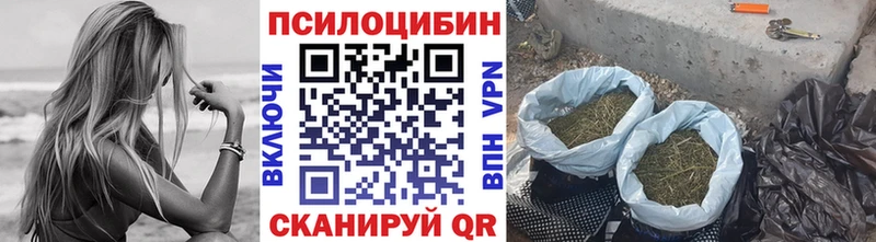 Псилоцибиновые грибы мухоморы  Шахунья 